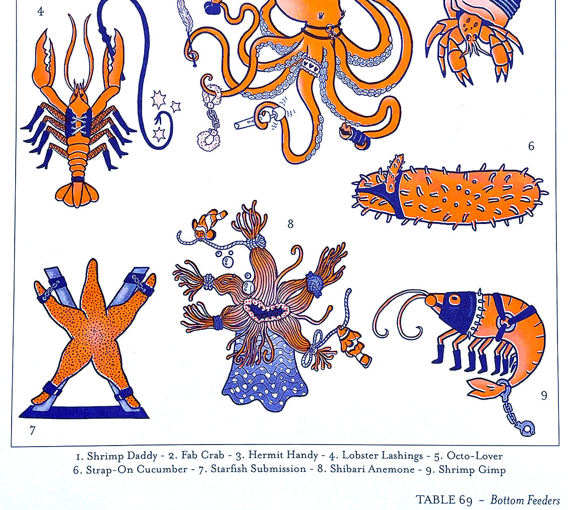 Bottom Feed Riser Decal Bottom Feeders Scientific Illustration - Risograph Print – tamikosidore
