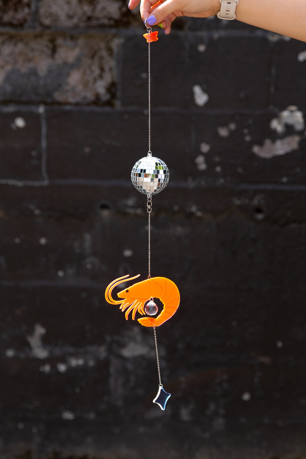 Disco Shrimp Suncatcher - 1 LEFT