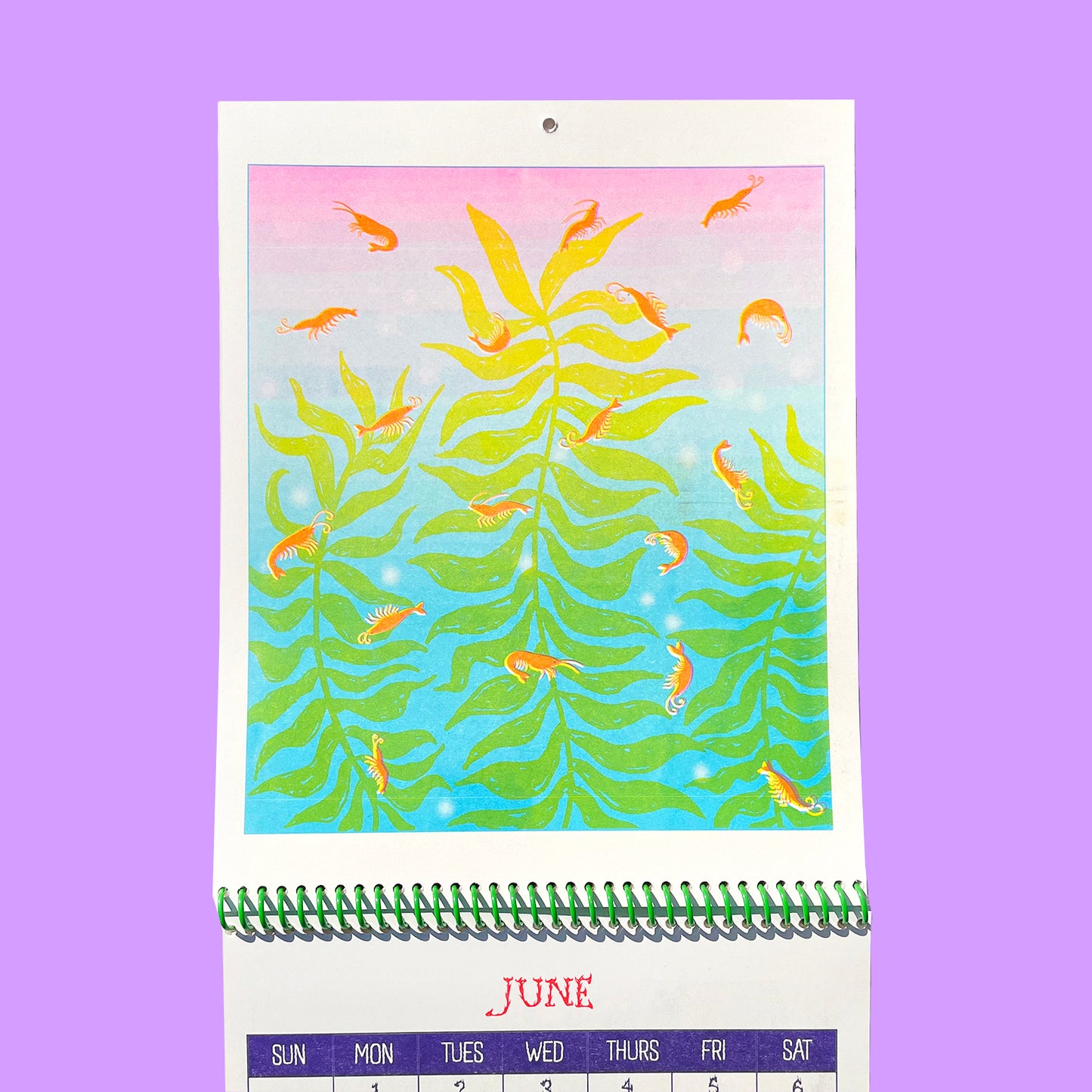 1 LEFT - SLUGS & SHRIMP - 2025 Riso Calendar