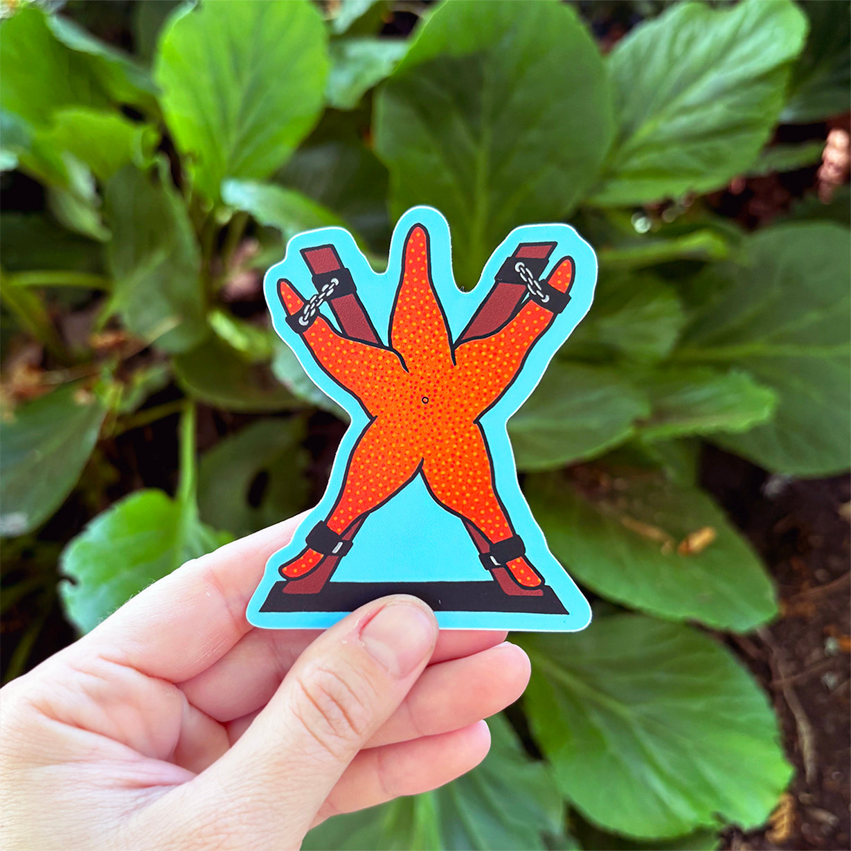 Starfish Submission Vinyl Sticker