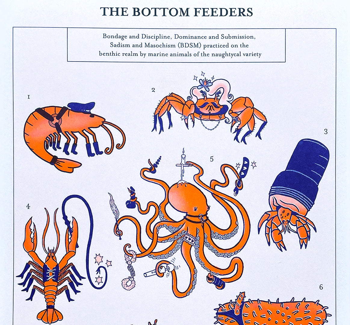 Bottom Feeders Scientific Illustration - Risograph Print